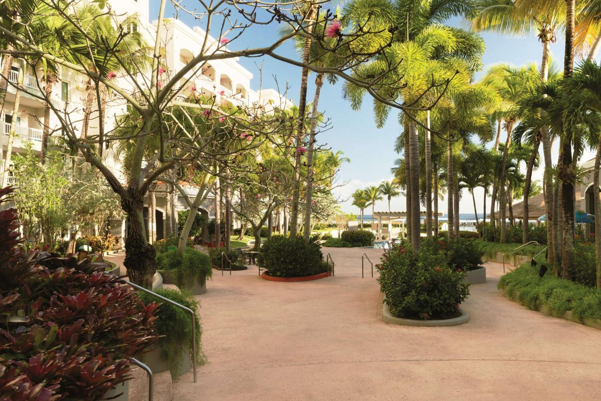 Embassy Suites By Hilton Dorado Del Mar Beach Resort Esterno foto